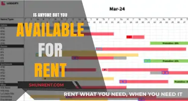 Is Anyone But You Available for Rent? Exploring Rental Options