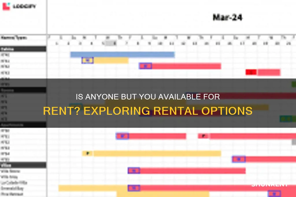 is anyone but you available for rent