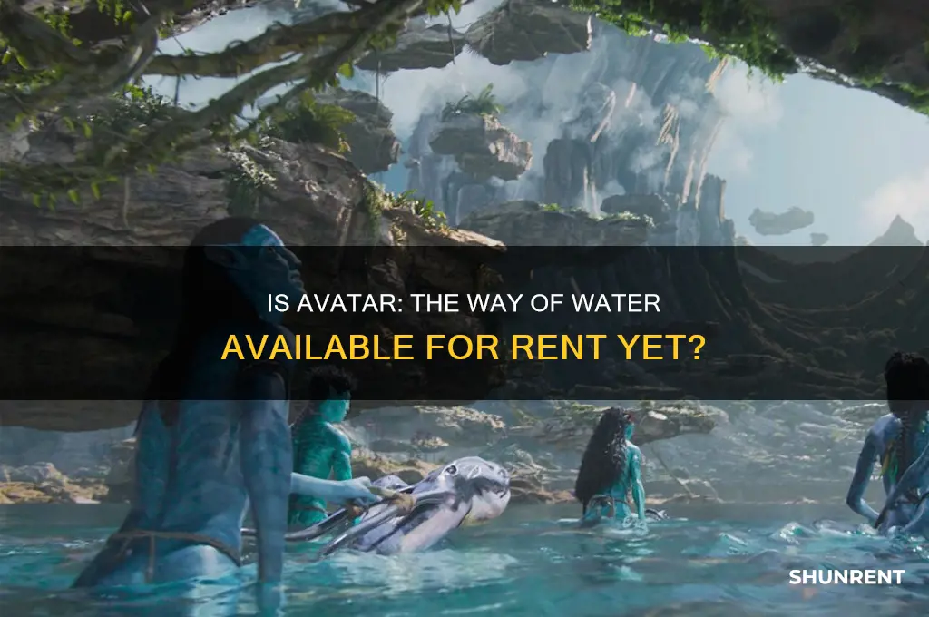 is avatar the way of water available to rent