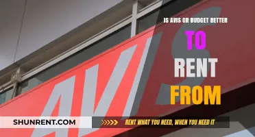 Avis vs. Budget: Which Car Rental Service Offers Better Value?