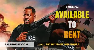 Bad Boys 4 Rental Availability: Where to Watch Now