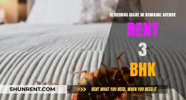 Bedbug Concerns in Romaine Avenue 3 BHK Rentals: What to Know