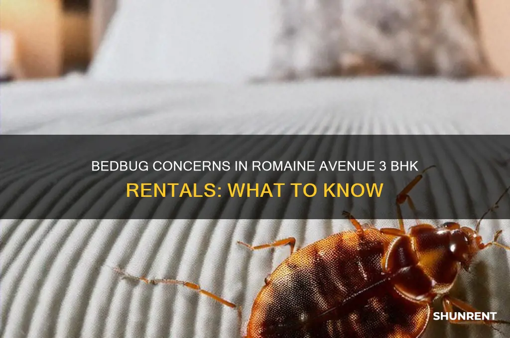 is bedbug issue in romaine avenue rent 3 bhk