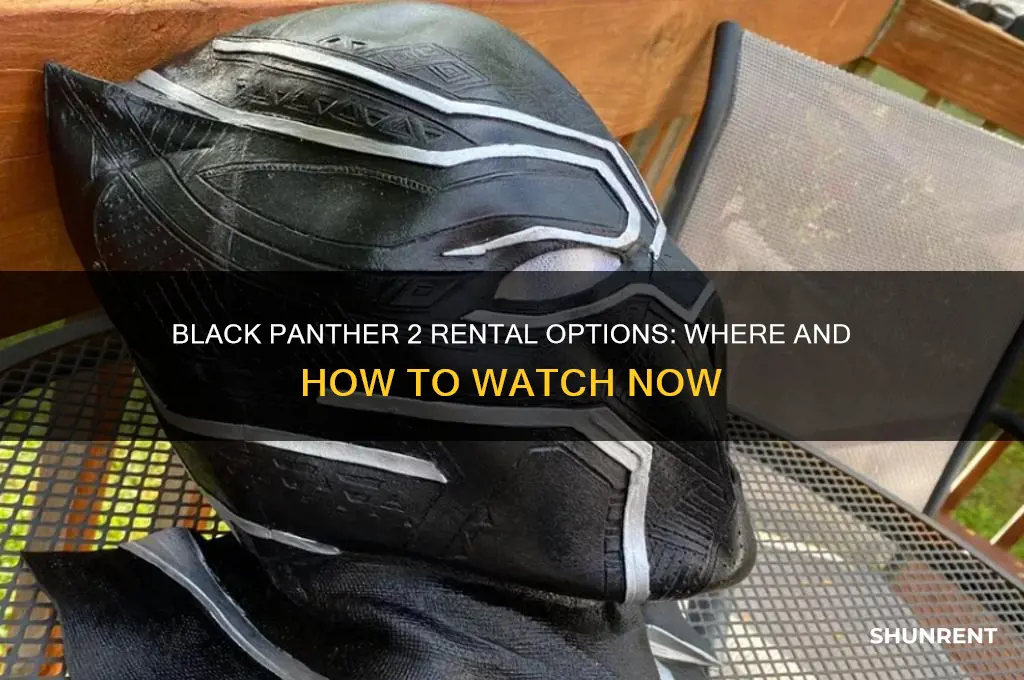 is black panther 2 available to rent