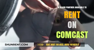Black Panther Rental on Comcast: Availability and Options Explained
