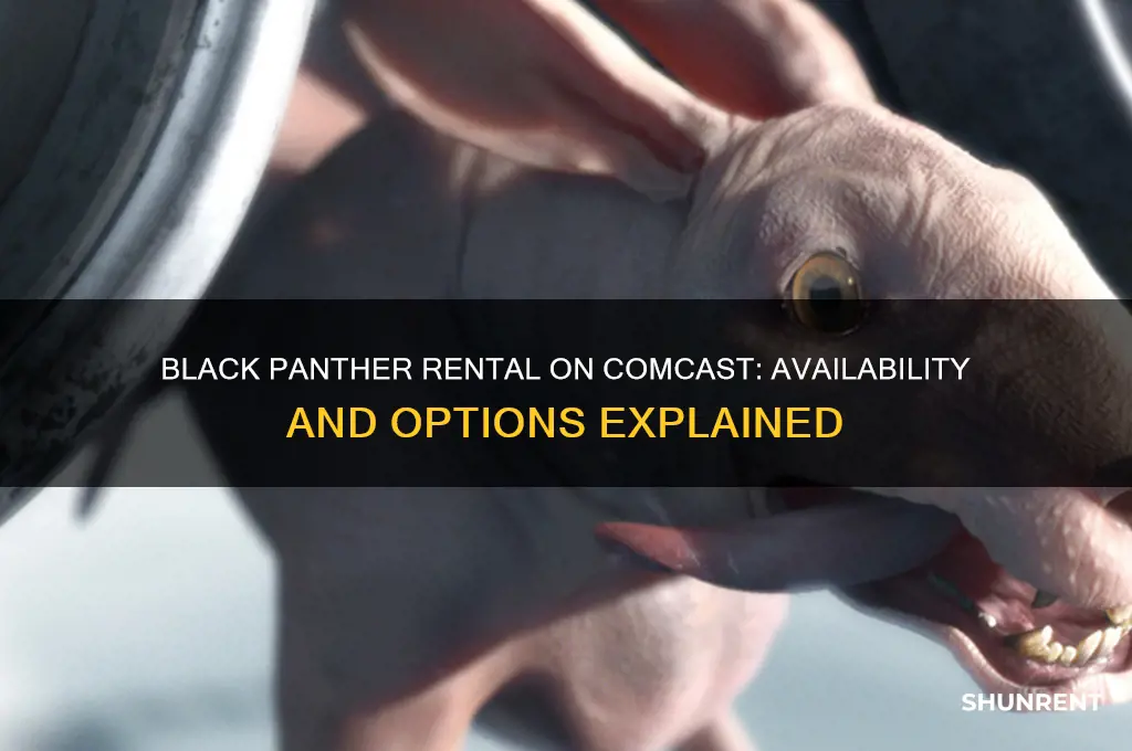 is black panther available to rent on comcast