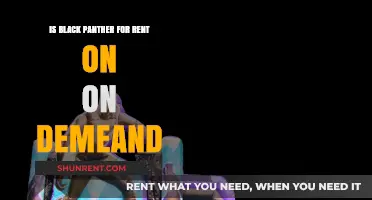 Is Black Panther Available for Rent on Demand? Find Out Now