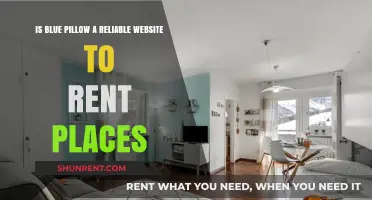 Is Blue Pillow Trustworthy for Renting Places? A Comprehensive Review