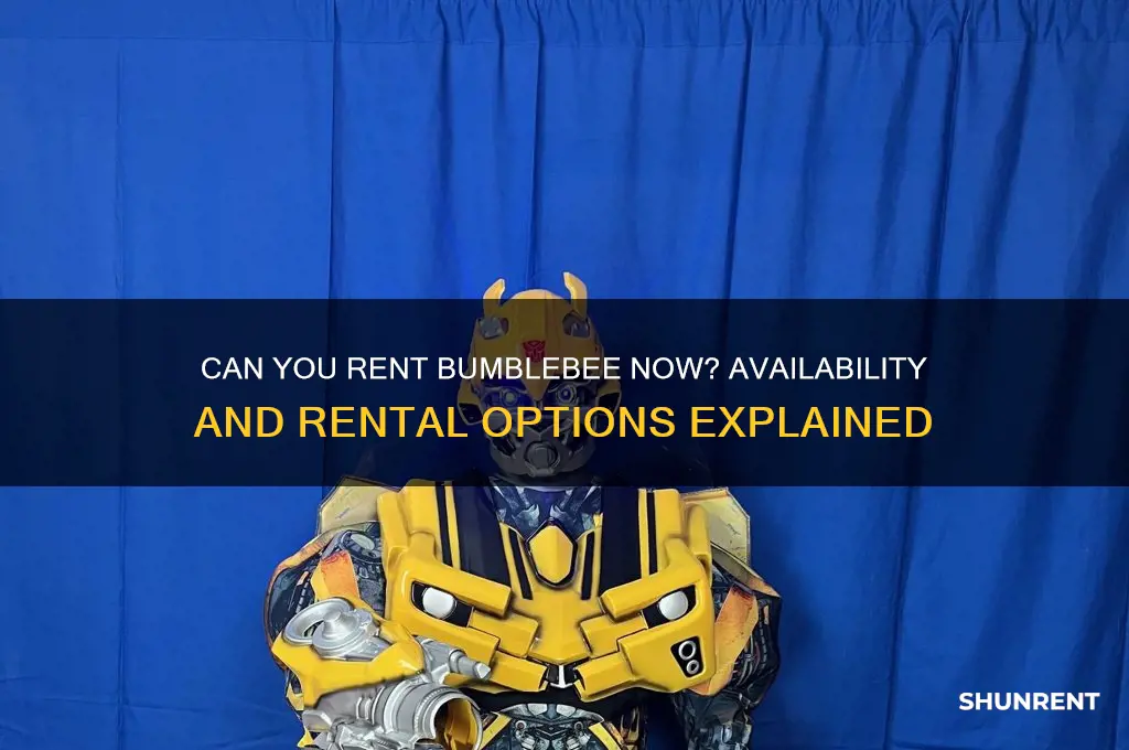 is bumblebee able to be rented yet