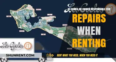 Condo vs. Owner: Who Handles Repairs in Rental Agreements?