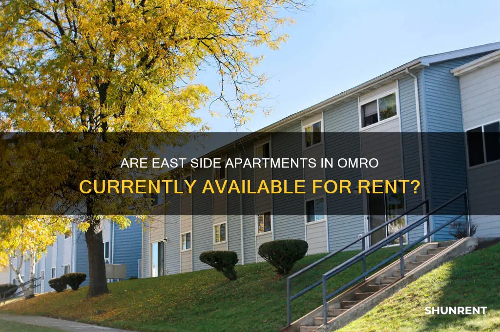is east side apartmemts in omro renting