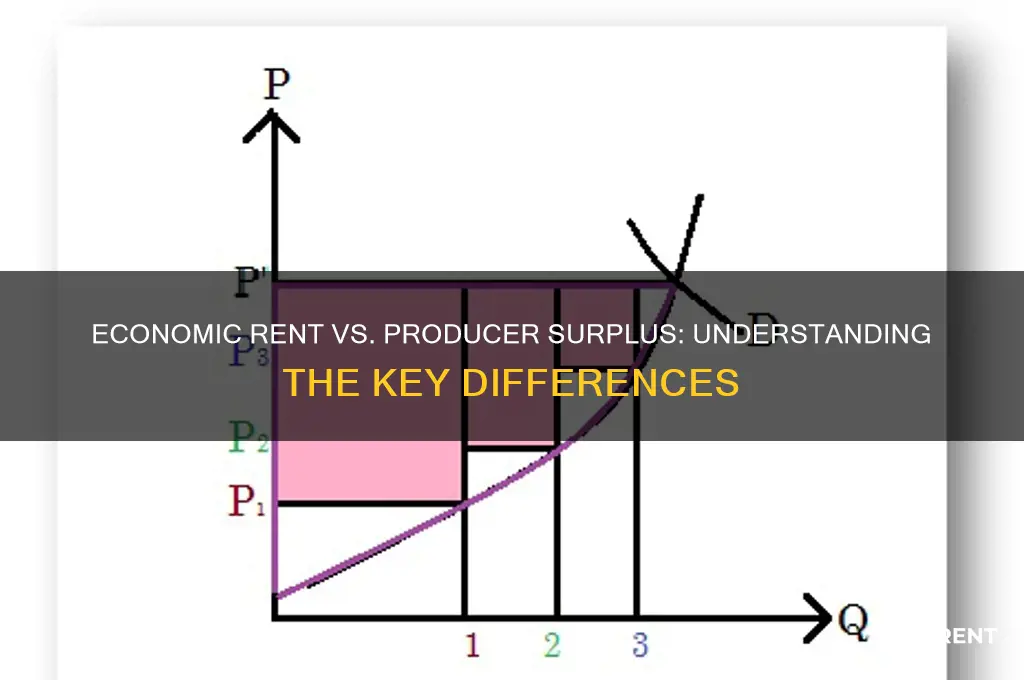 is economic rent the same as producer surplus