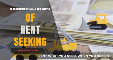 Economies of Scale vs. Rent Seeking: Unraveling the Economic Debate