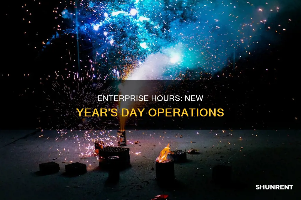 is enterprise open on new year