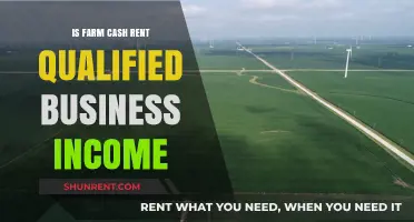 Is Farm Cash Rent Qualified Business Income? Key Insights