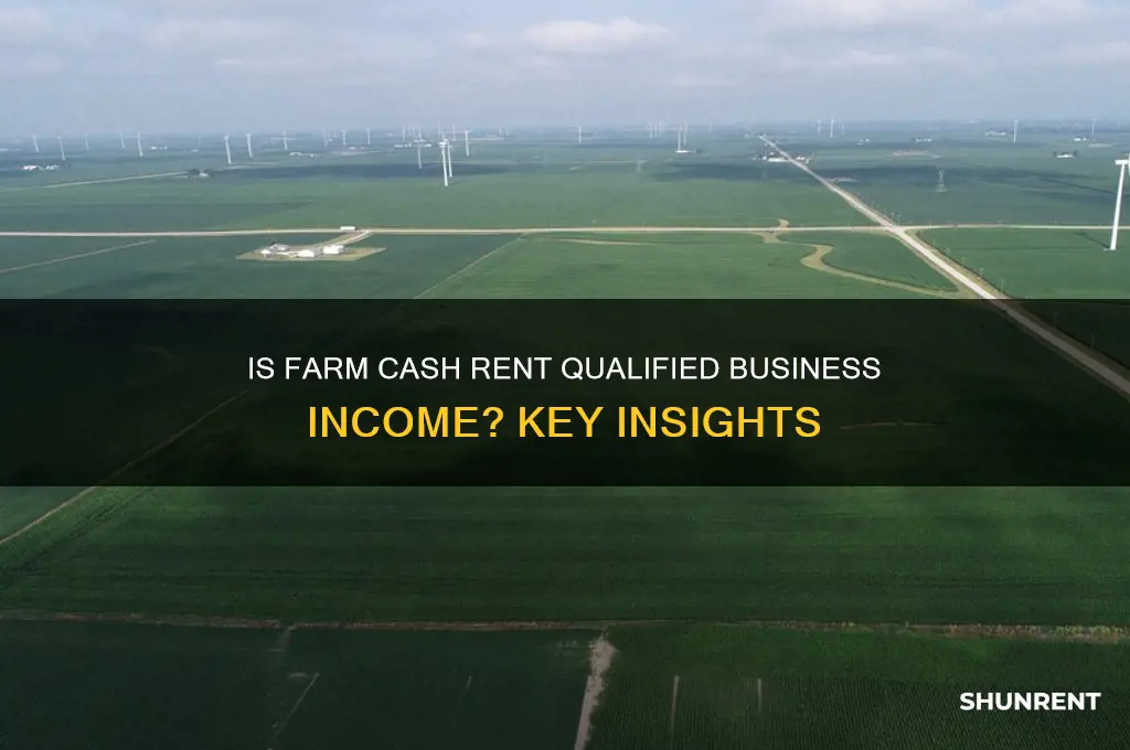 is farm cash rent qualified business income