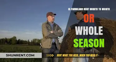Farmland Rent: Month-to-Month or Full Season Lease Options Explained