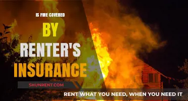 Does Renter's Insurance Cover Fire Damage? What You Need to Know
