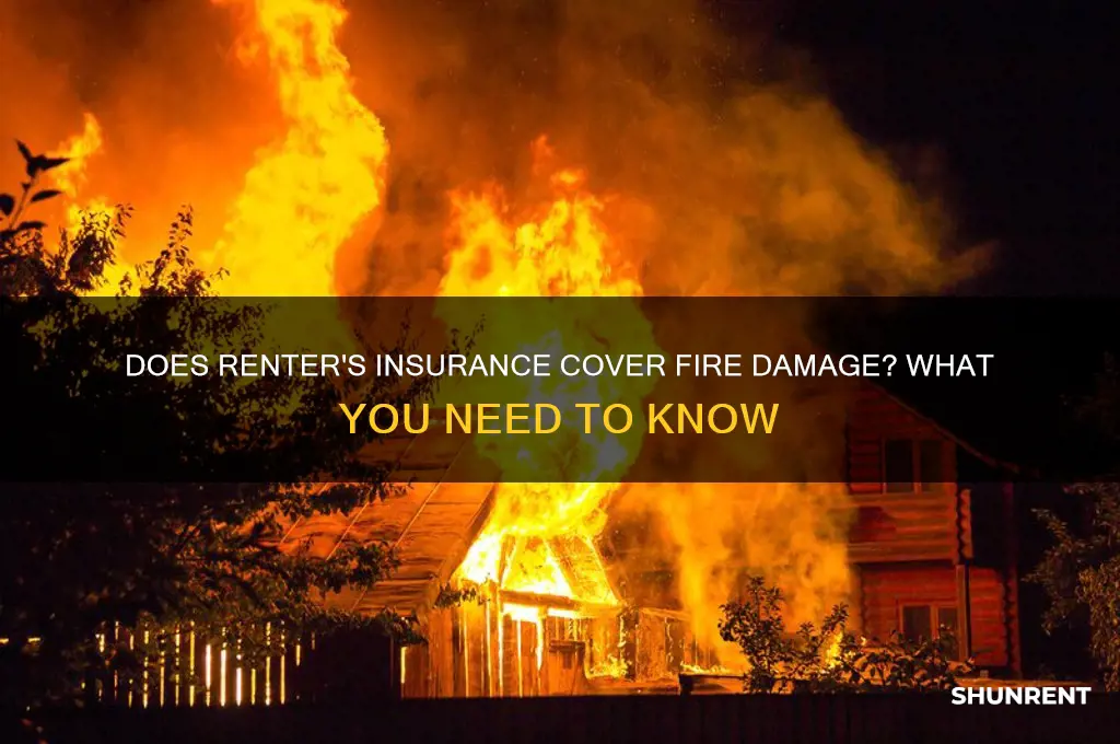 is fire covered by renter