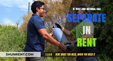 Understanding Rent: Are Heat and Natural Gas Costs Separate?