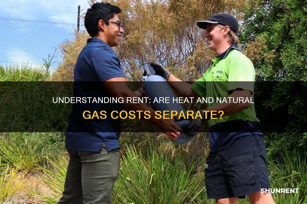 is heat and natural gas separate in rent