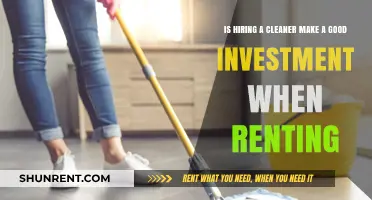 Investing in Cleanliness: Is Hiring a Cleaner Worth It for Renters?