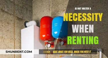 Hot Water in Rentals: A Necessity or Optional Luxury?