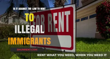 Renting to Undocumented Immigrants: Legal Risks and Landlord Responsibilities