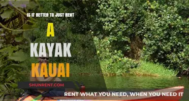 Renting vs. Owning: Is Kayak Rental in Kauai the Smarter Choice?