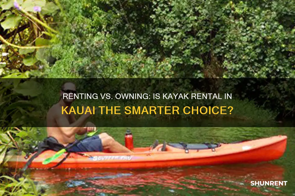 is it better to just rent a kayak kauai