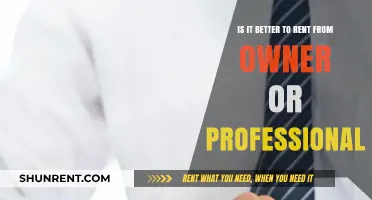 Renting Dilemma: Owner vs. Professional – Which Option Suits You Best?