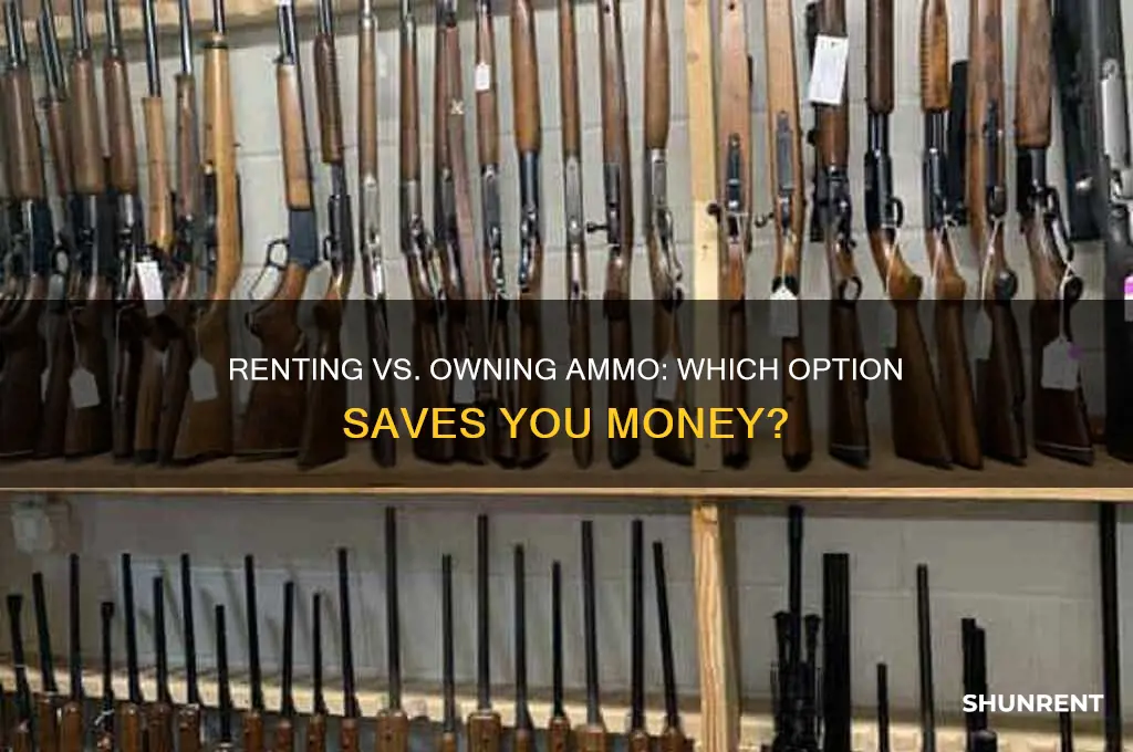 is it cheaper to rent ammo or bring your own