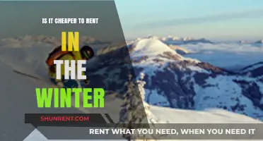 Winter Rentals: Are Cold Months the Cheapest Time to Rent?