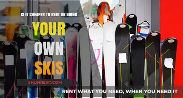 Renting vs. Owning Skis: Which Option Saves You Money?