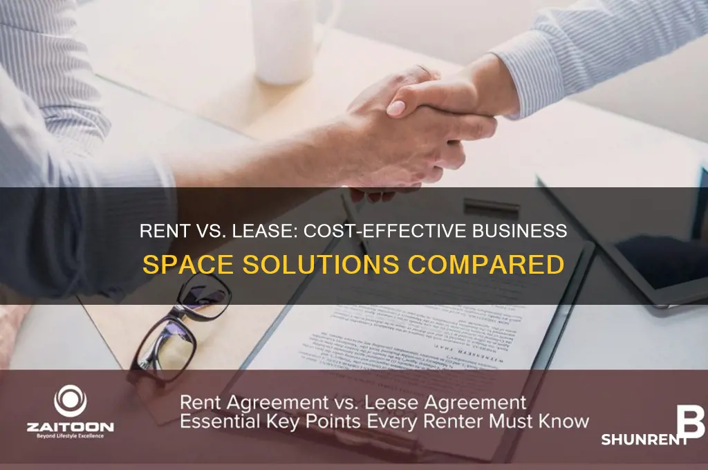 is it cheaper to rent or lease for business use
