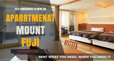 Renting Near Mount Fuji: Safety Concerns and Risks Explained