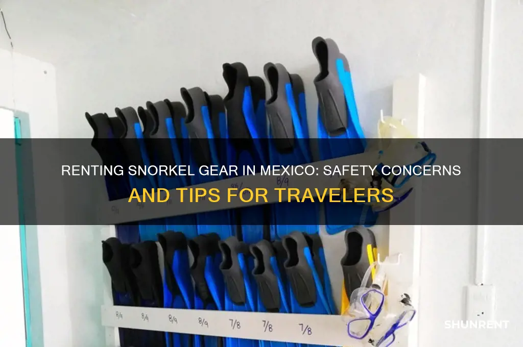 is it dangerous to rent snorkel gear in mexico