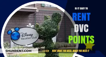 Renting DVC Points: Simplifying Your Disney Vacation Club Experience