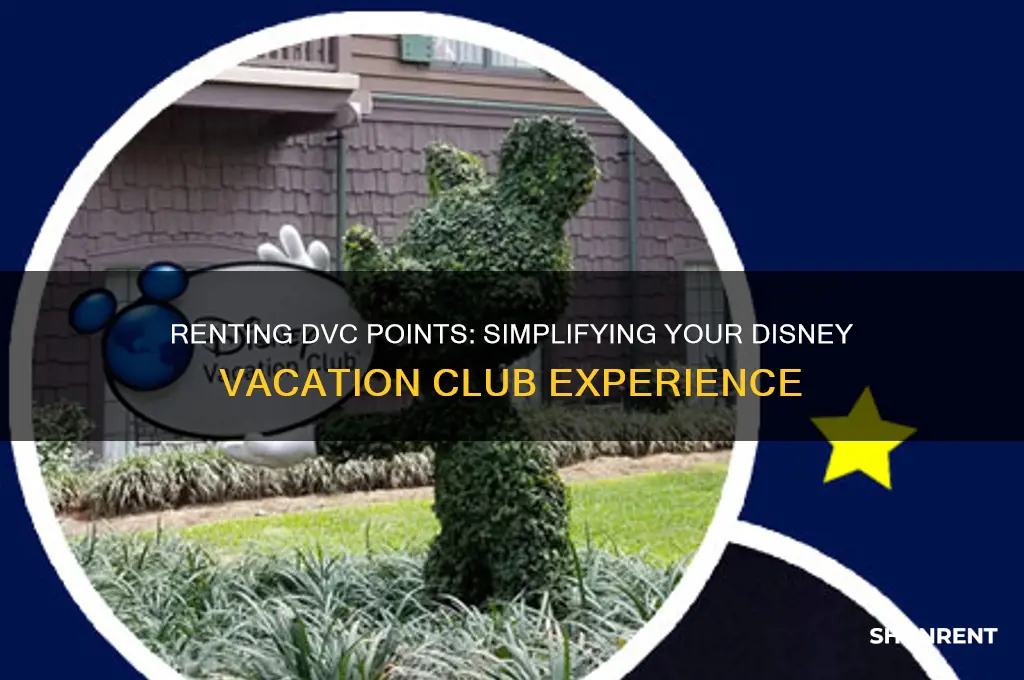 is it easy to rent dvc points