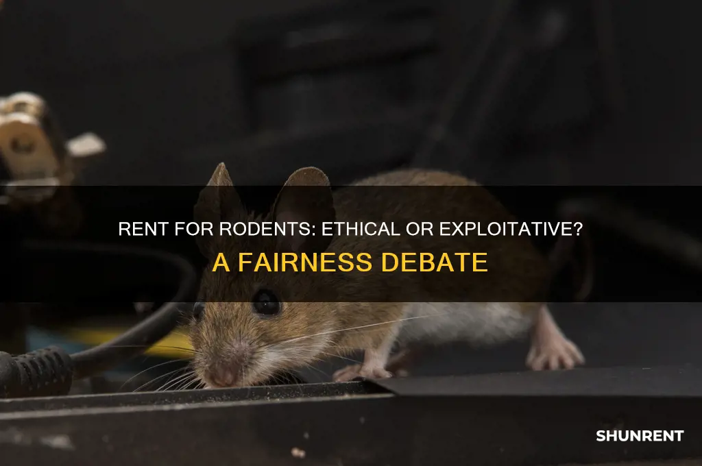 is it fair to charge rent for rodents