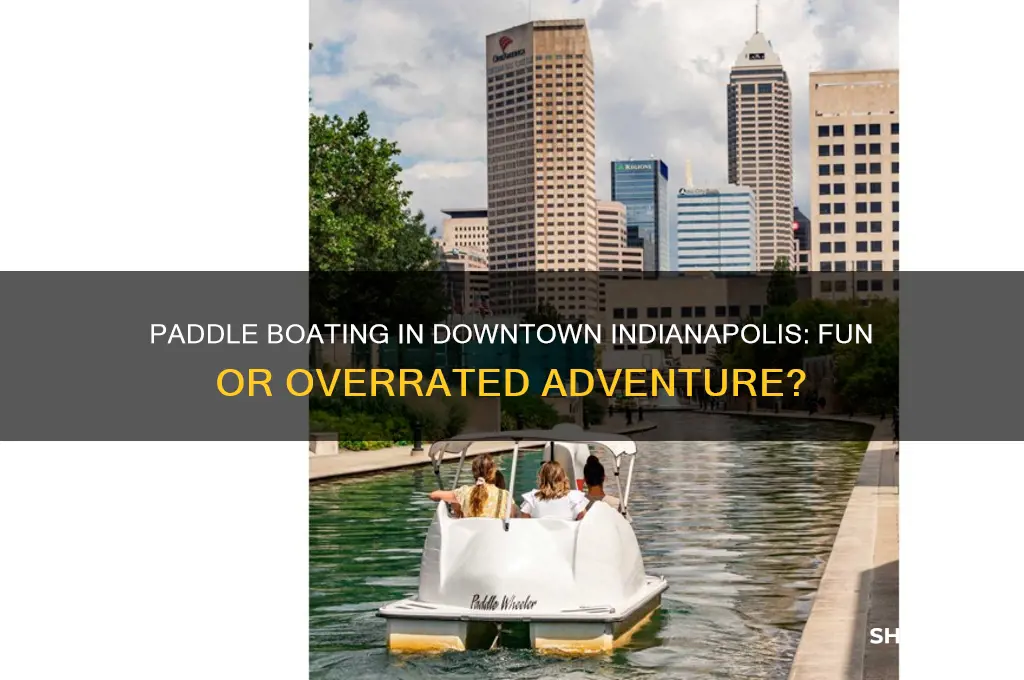 is it fun to rent paddle boats down town indianapolois