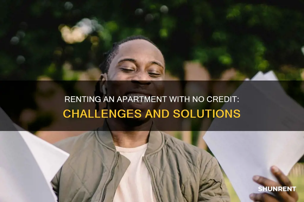 is it hard to rent an apt with no credir