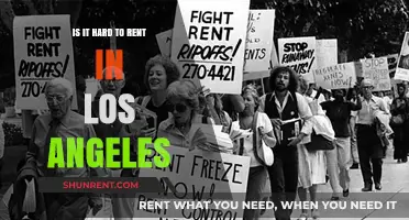 Renting in LA: Navigating the Challenges of the Los Angeles Market