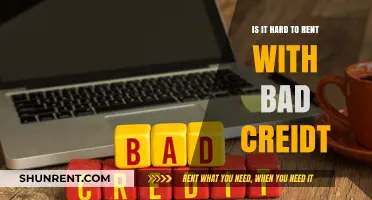 Renting with Bad Credit: Challenges and Solutions for Tenants