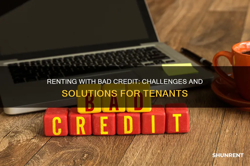 is it hard to rent with bad creidt