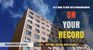 Renting with Misdemeanors: Challenges and Solutions for Tenants