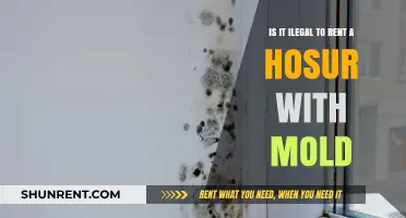 Is Renting a House with Mold Illegal? What Tenants Need to Know