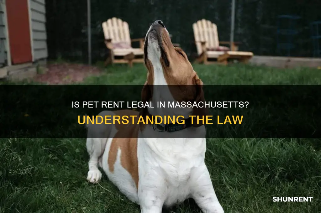 is it illegal to charge pet rent in massachusetts