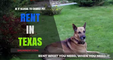 Is Charging Pet Rent in Texas Legal? What You Need to Know