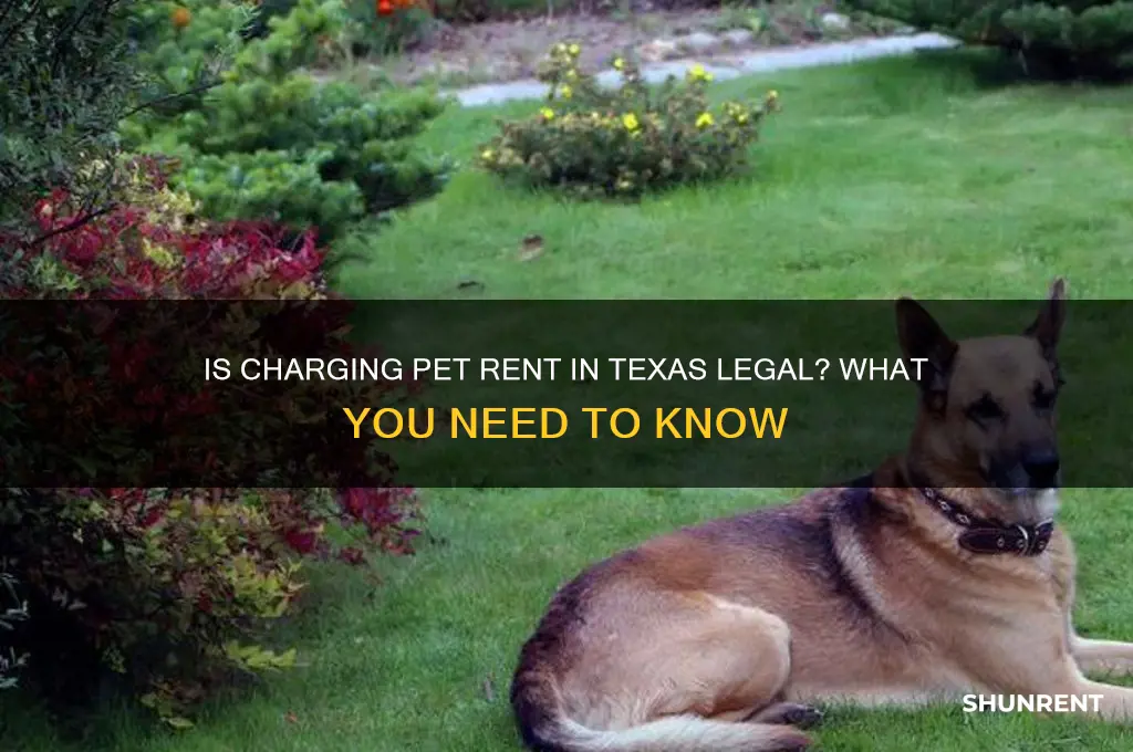 is it illegal to charge pet rent in texas